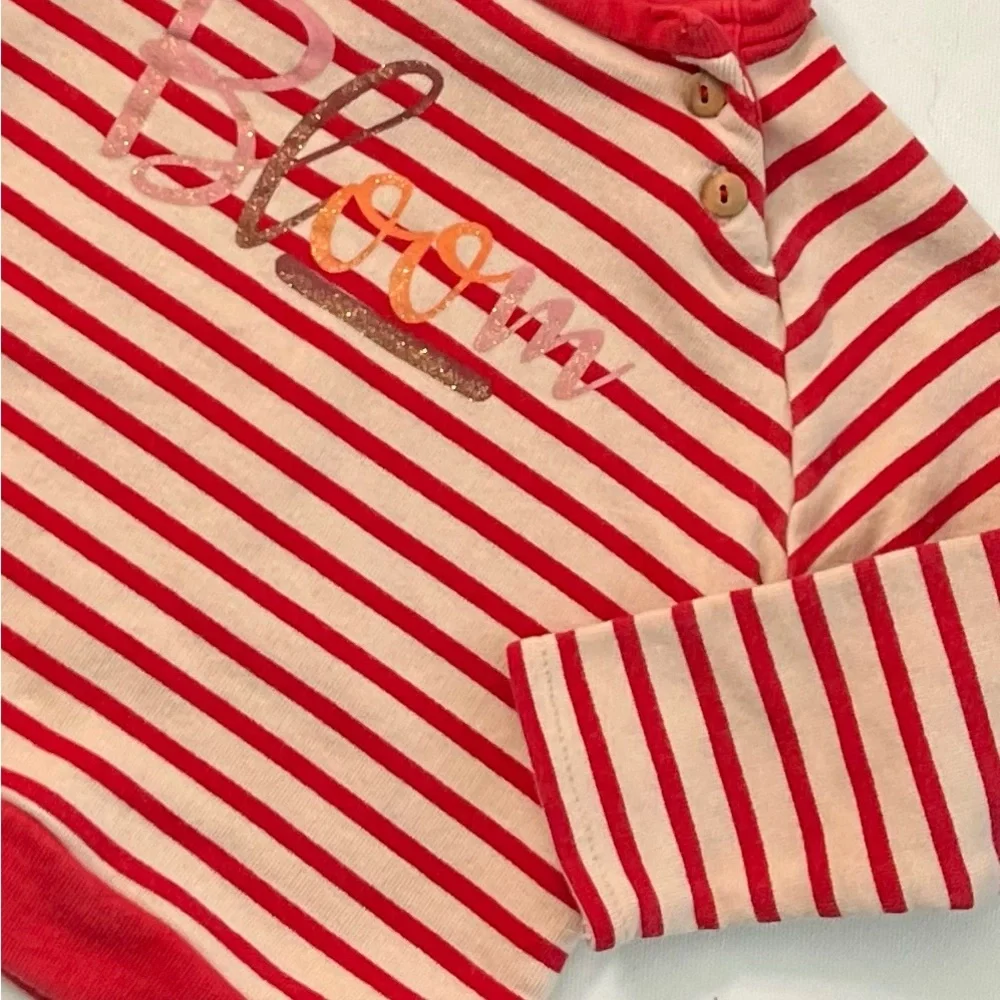 Zara Baby Girl Striped “Bloom “ Sweatshirt